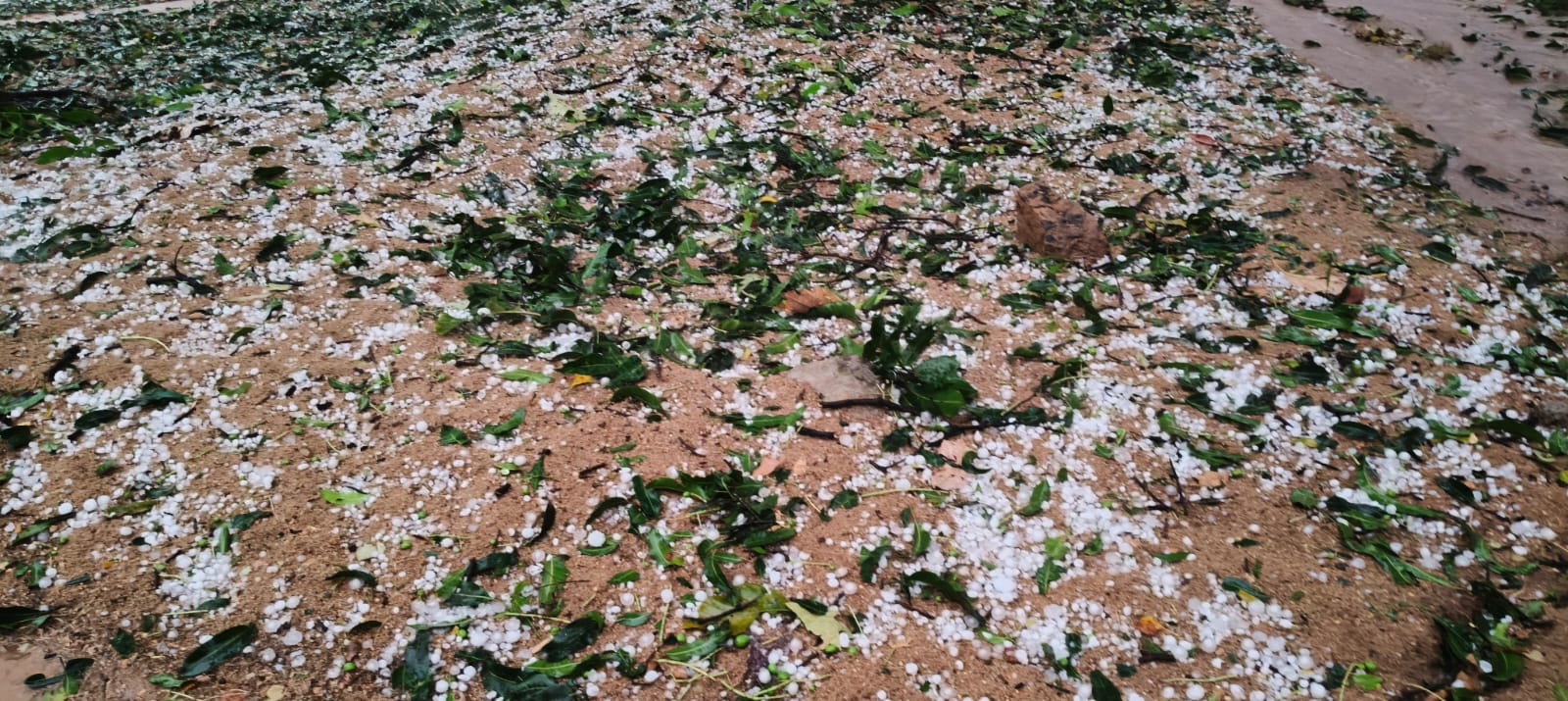 weather updates: झारखंड समेत कई राज्य में बारिश के साथ गिरे ओले